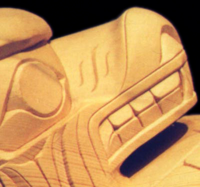 Bear Bowl Face Close Up